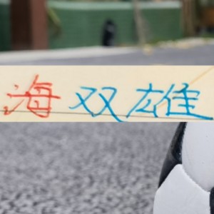 开云体育下载APP-今年上海双雄都是大手笔 申花标王拿下拉唐 海港重金砸下大鱼